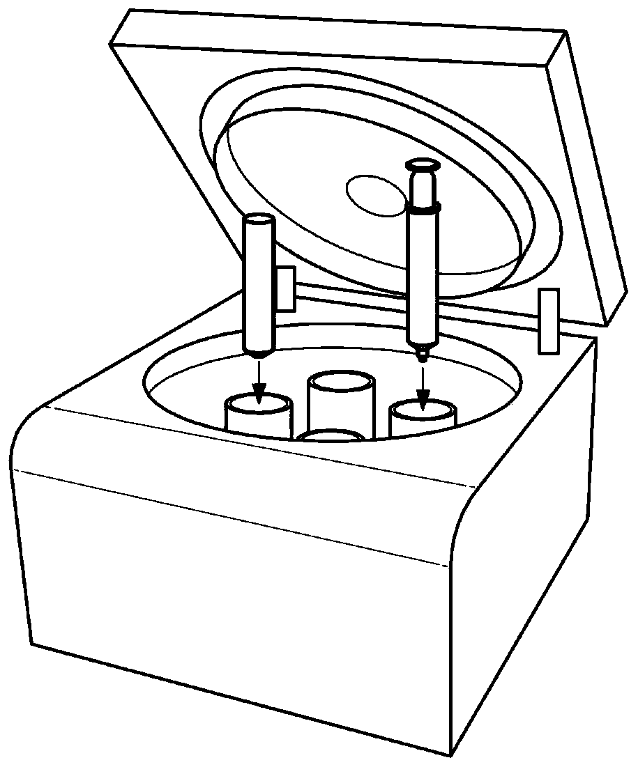 Apparatus and method for collecting and isolating cells