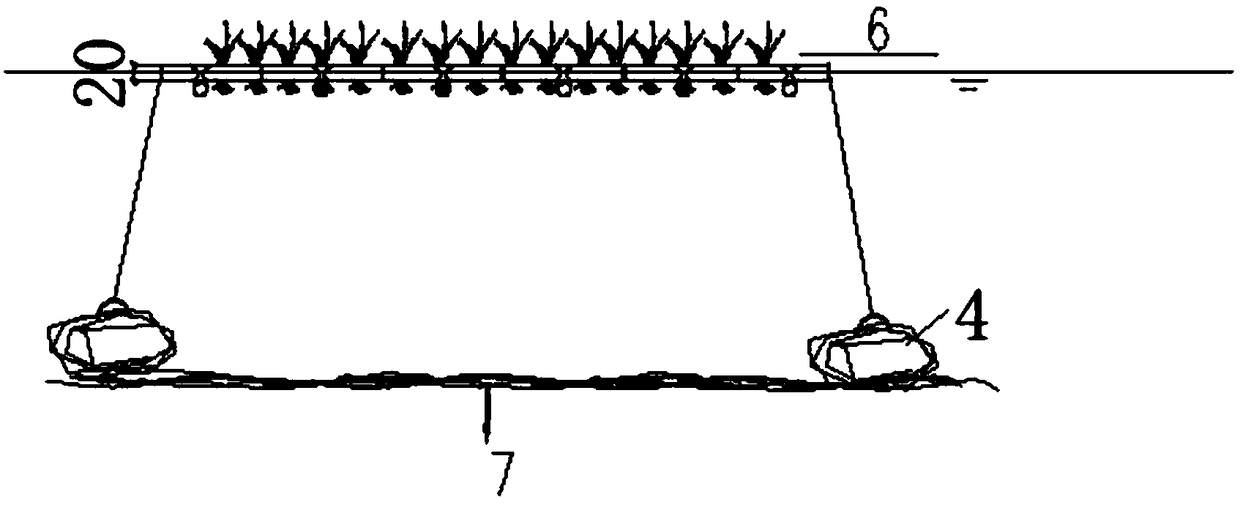 Aquatic plant purification system and device suitable for non-navigable river channel