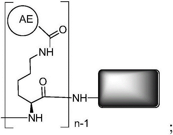 Acridine marker conjugate and preparation method thereof and chemiluminescent kit