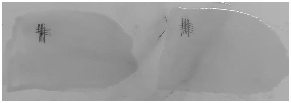 A translucent closed solvent-free epoxy primer compound