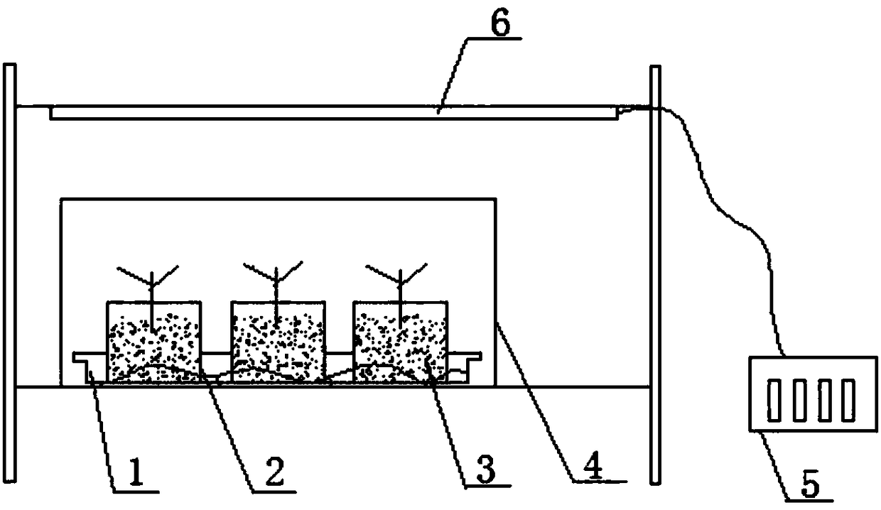 A kind of cultivation method of catalpa micropropagation