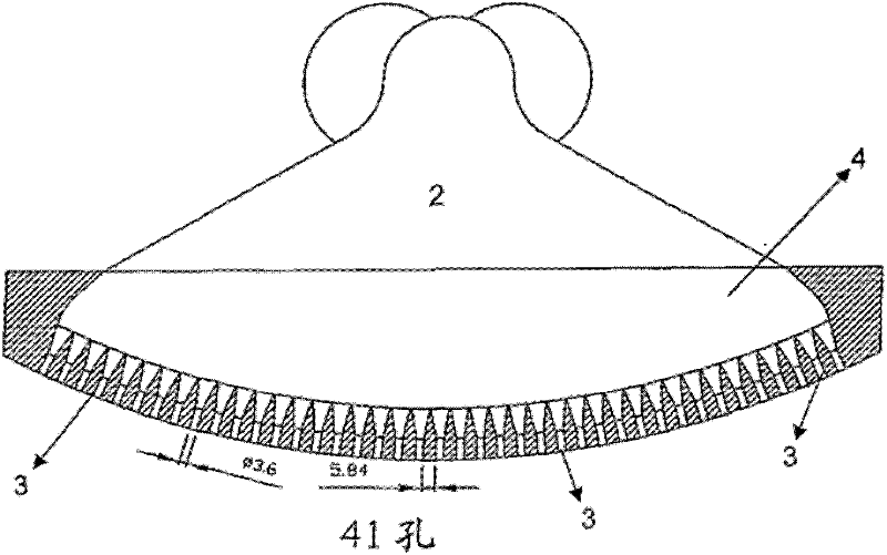 Nozzle plate having nozzles disposed convexly and the use of the same