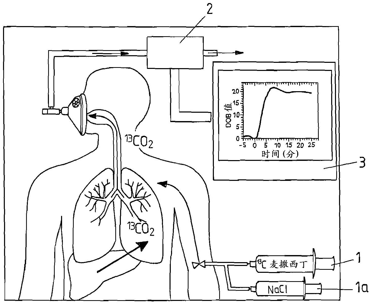 Determining the liver function by quantitatively measuring the metabolism of substrates