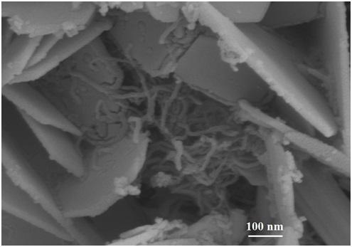 Hydrothermal method for preparing SnSe2/CNTs composite lithium ion battery electrode material