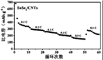 Hydrothermal method for preparing SnSe2/CNTs composite lithium ion battery electrode material