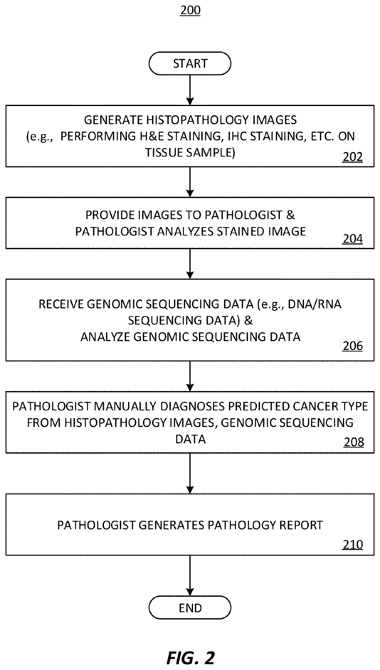 Predicting total nucleic acid yield and dissection boundaries for histology slides