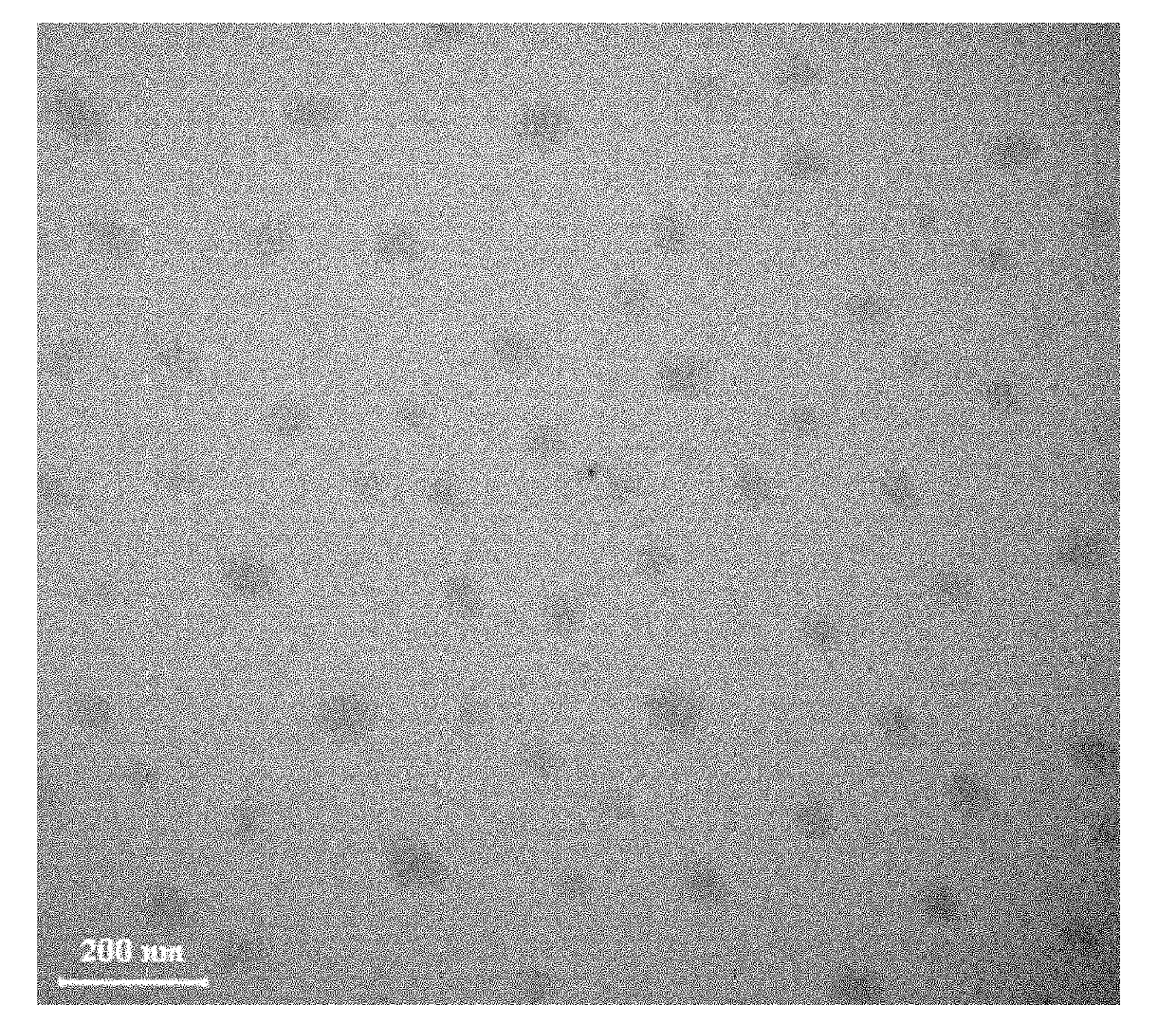 Polymer nano hydrogel and preparation method thereof