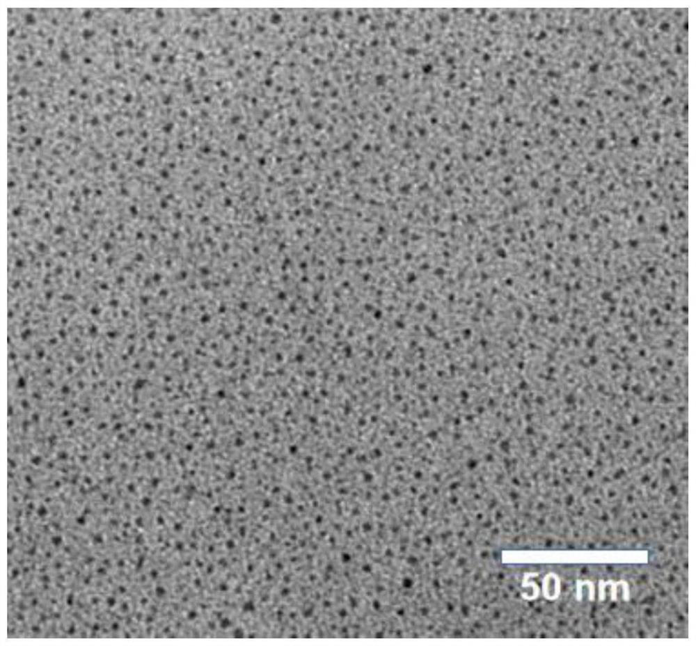 Gold nanoparticle/nitrogen-doped graphene quantum dot nano composite material, sensing electrode and preparation method and application of gold nanoparticle/nitrogen-doped graphene quantum dot nano composite material