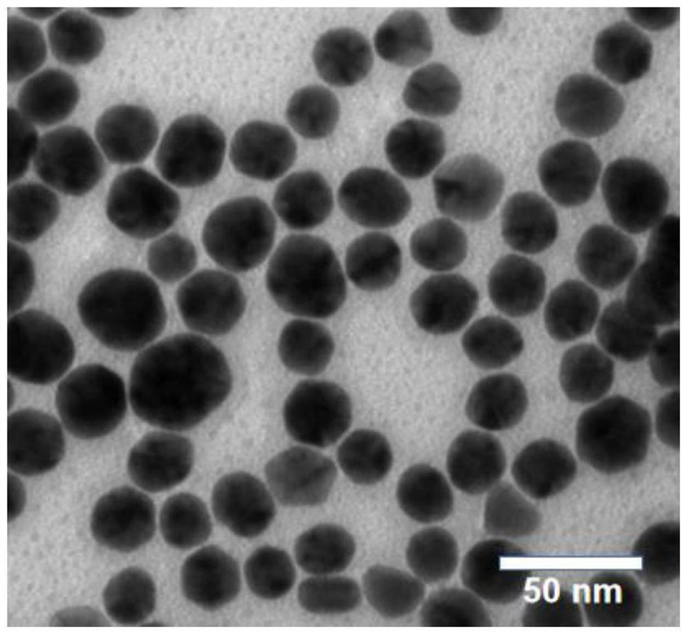 Gold nanoparticle/nitrogen-doped graphene quantum dot nano composite material, sensing electrode and preparation method and application of gold nanoparticle/nitrogen-doped graphene quantum dot nano composite material