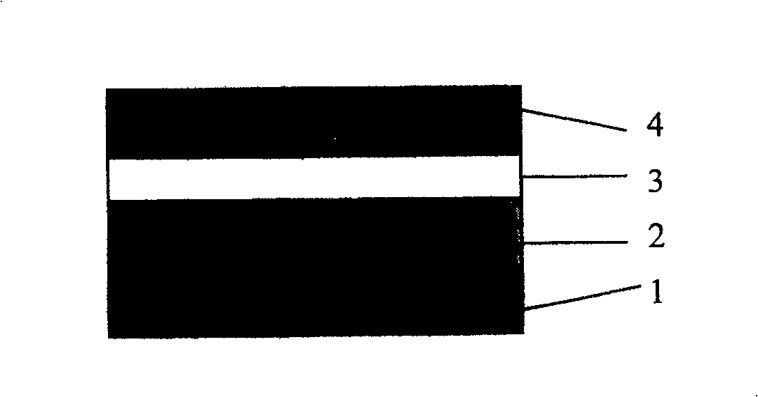 Metal inserting layer in hydride gas phase epitaxial growth gallium nitride film and process for preparing the same