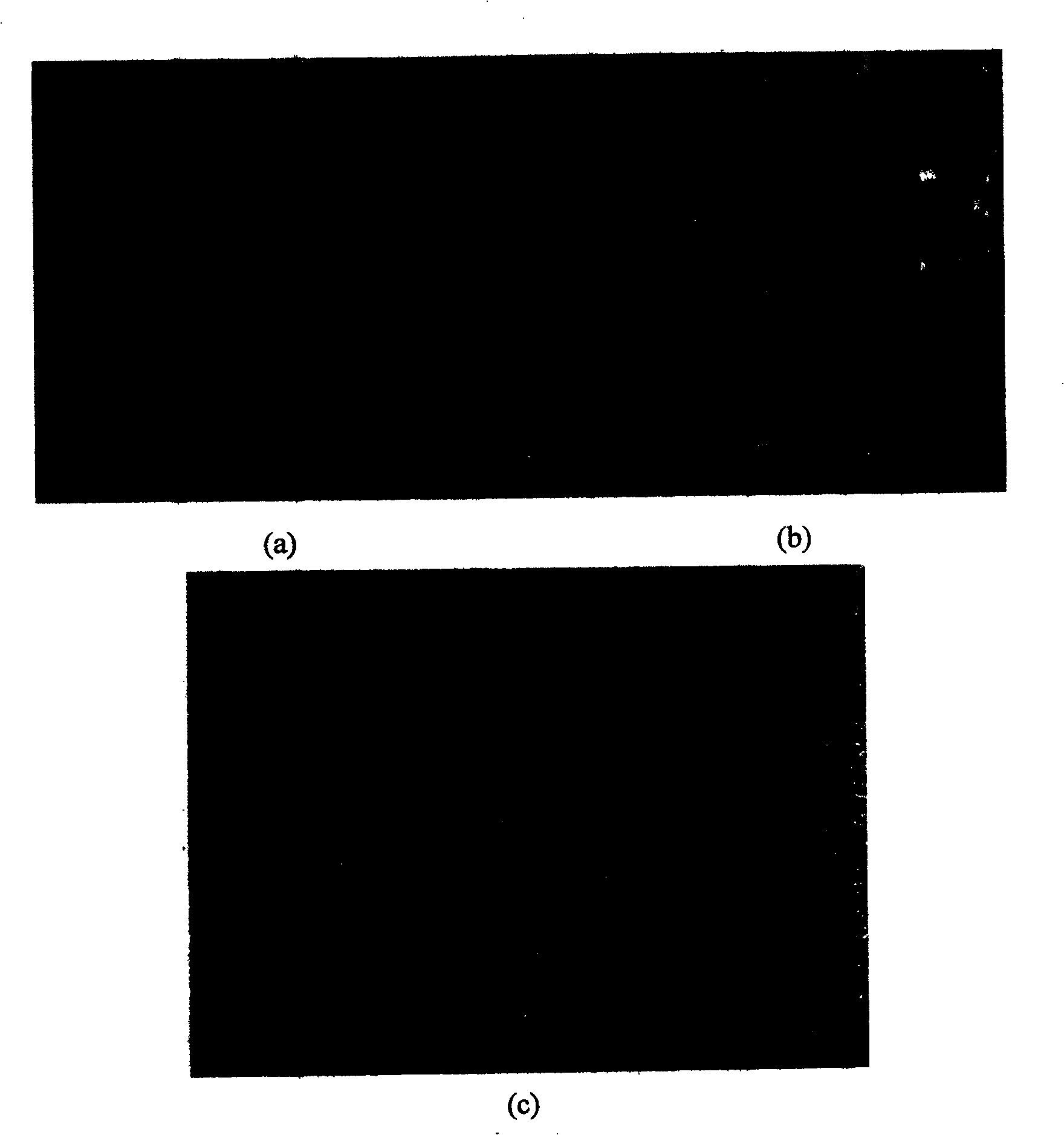 Metal inserting layer in hydride gas phase epitaxial growth gallium nitride film and process for preparing the same