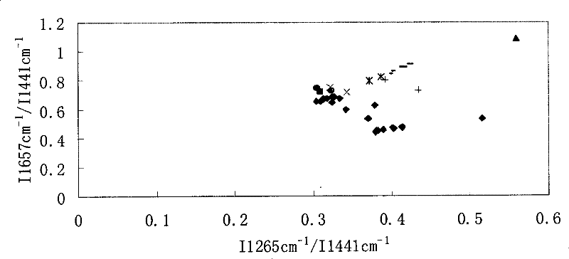 Olive oil fast detection method adopting Raman spectrum characteristic peak signal intensity ratio