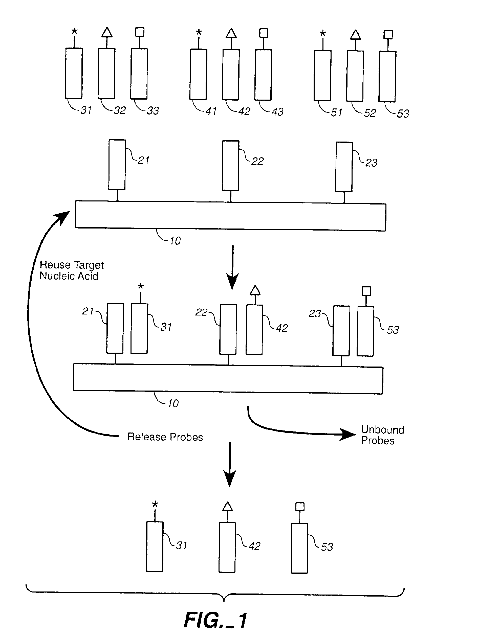 Compositions and methods for repetitive use of genomic DNA