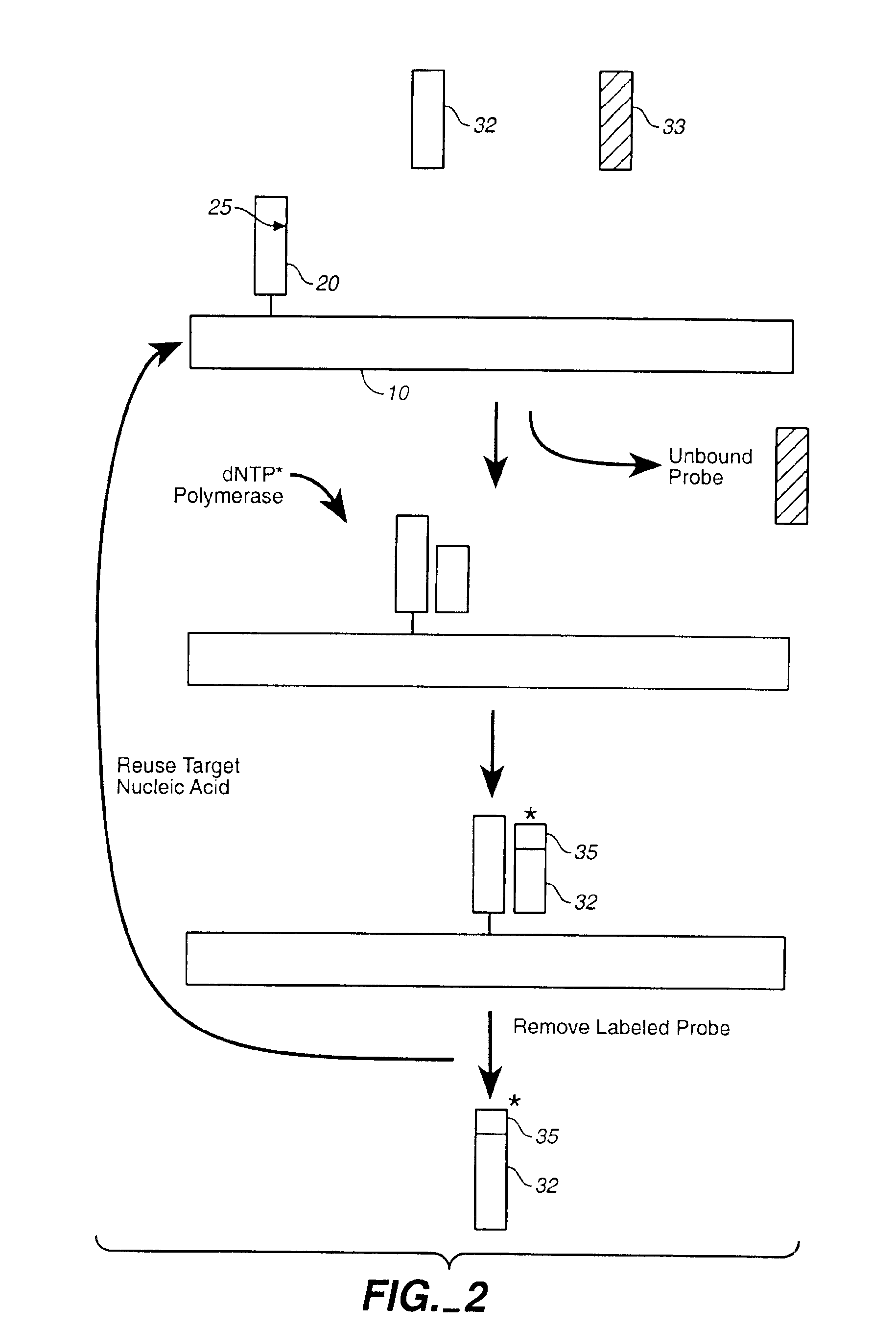 Compositions and methods for repetitive use of genomic DNA