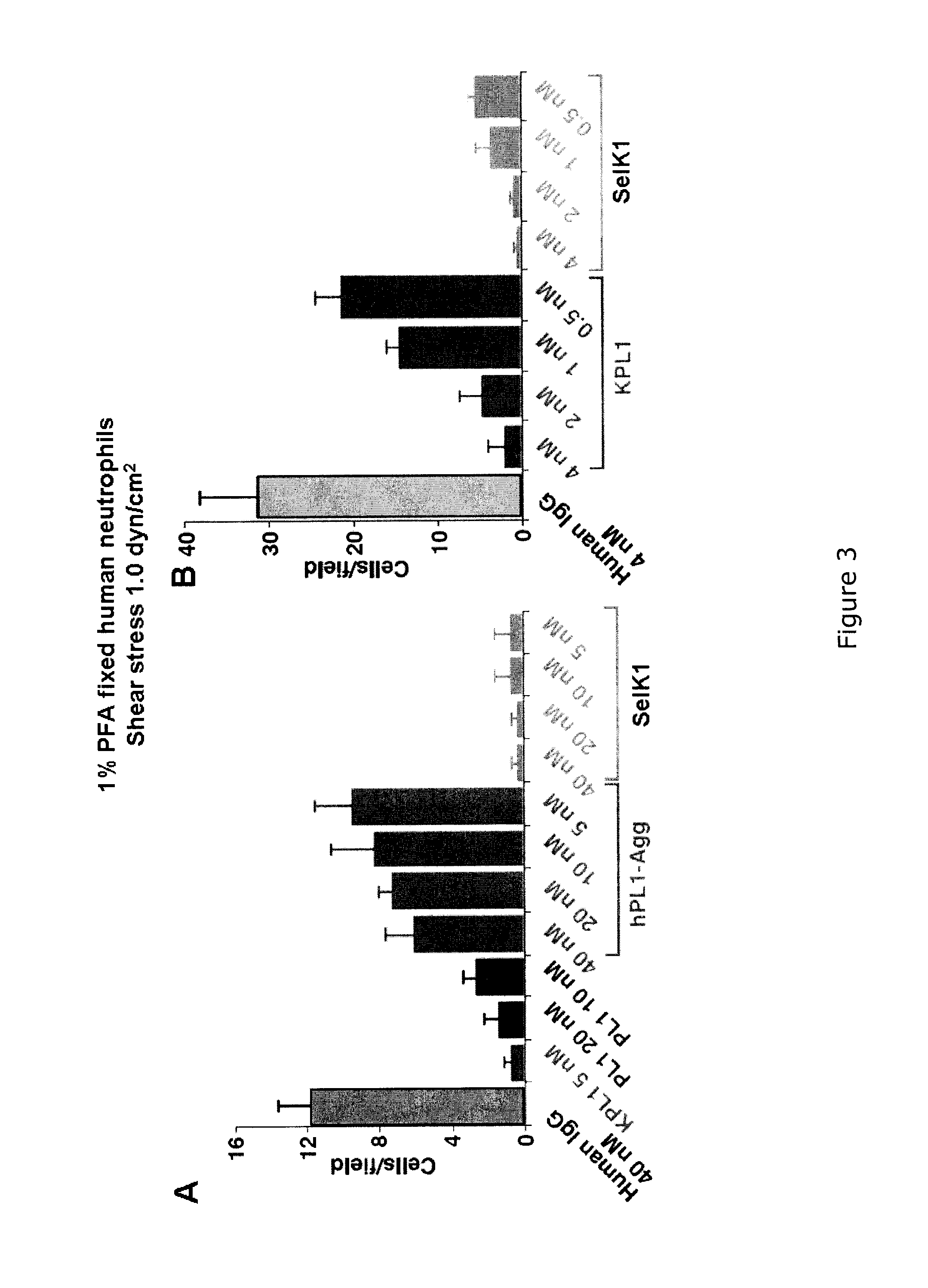 Methods of inhibiting the PSGL-1-mediated adhesion and chemokine-mediated migration with PSGL-1-specific antibodies