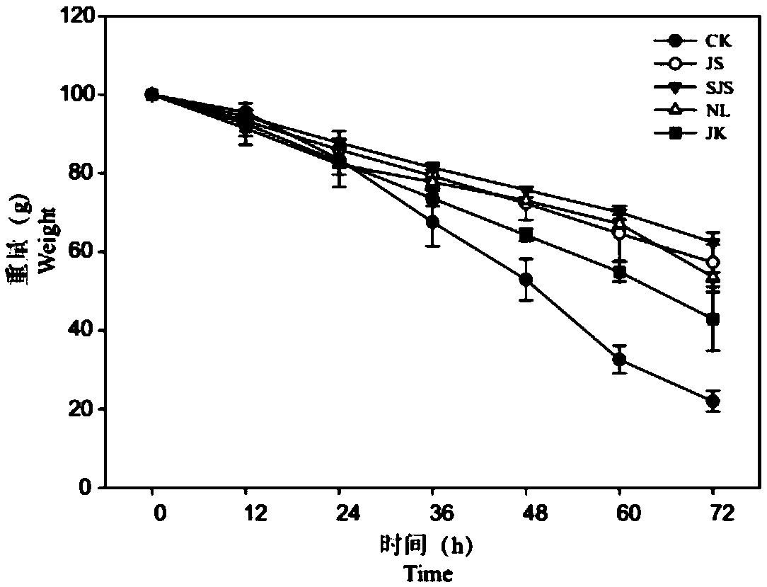 Functional seedling medium and application thereof