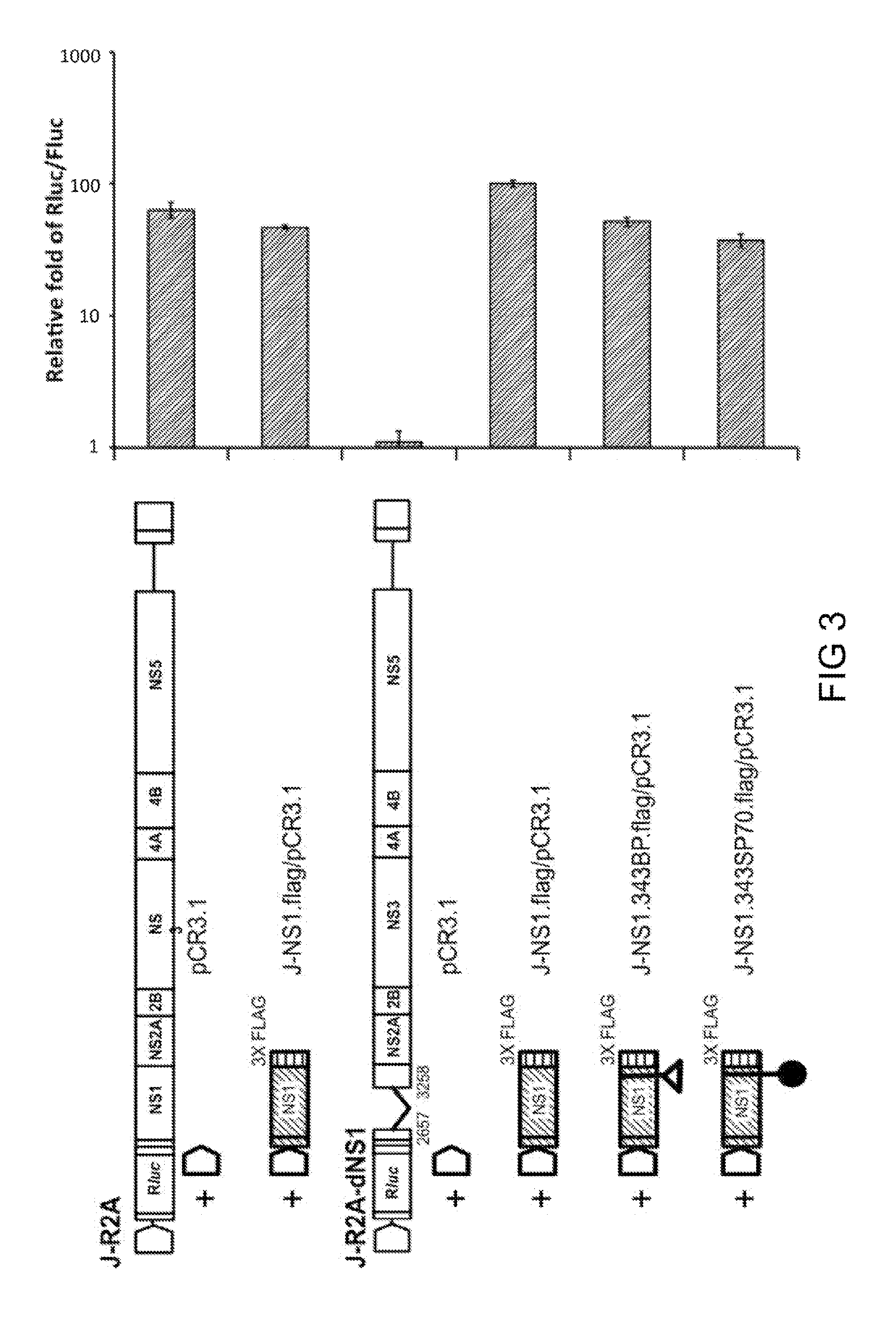 Recombinant flaviviral constructs and uses thereof