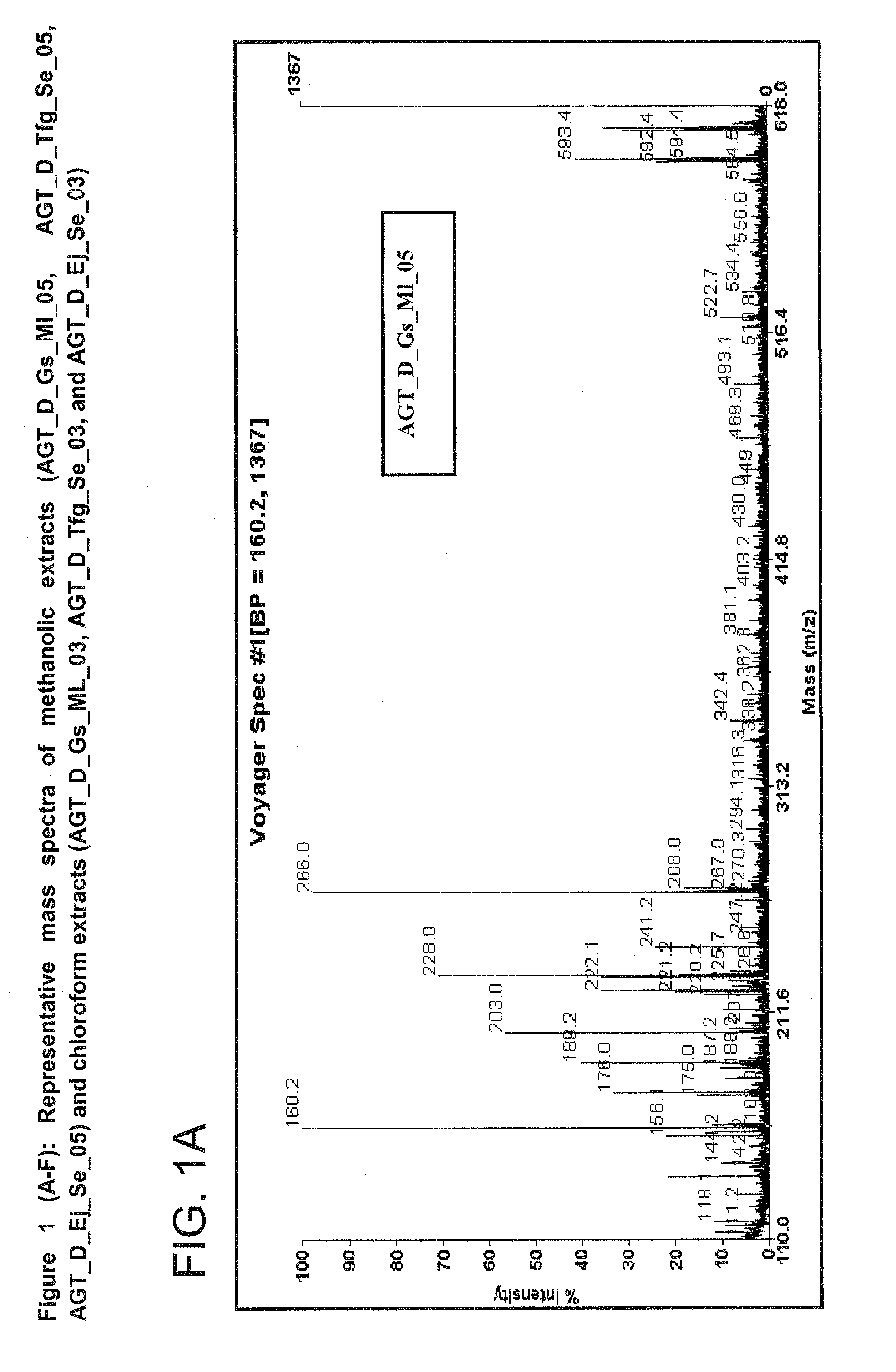 Screening Method (Metabolite Grid) for Therapeutic Extracts and Molecules for Diabetes