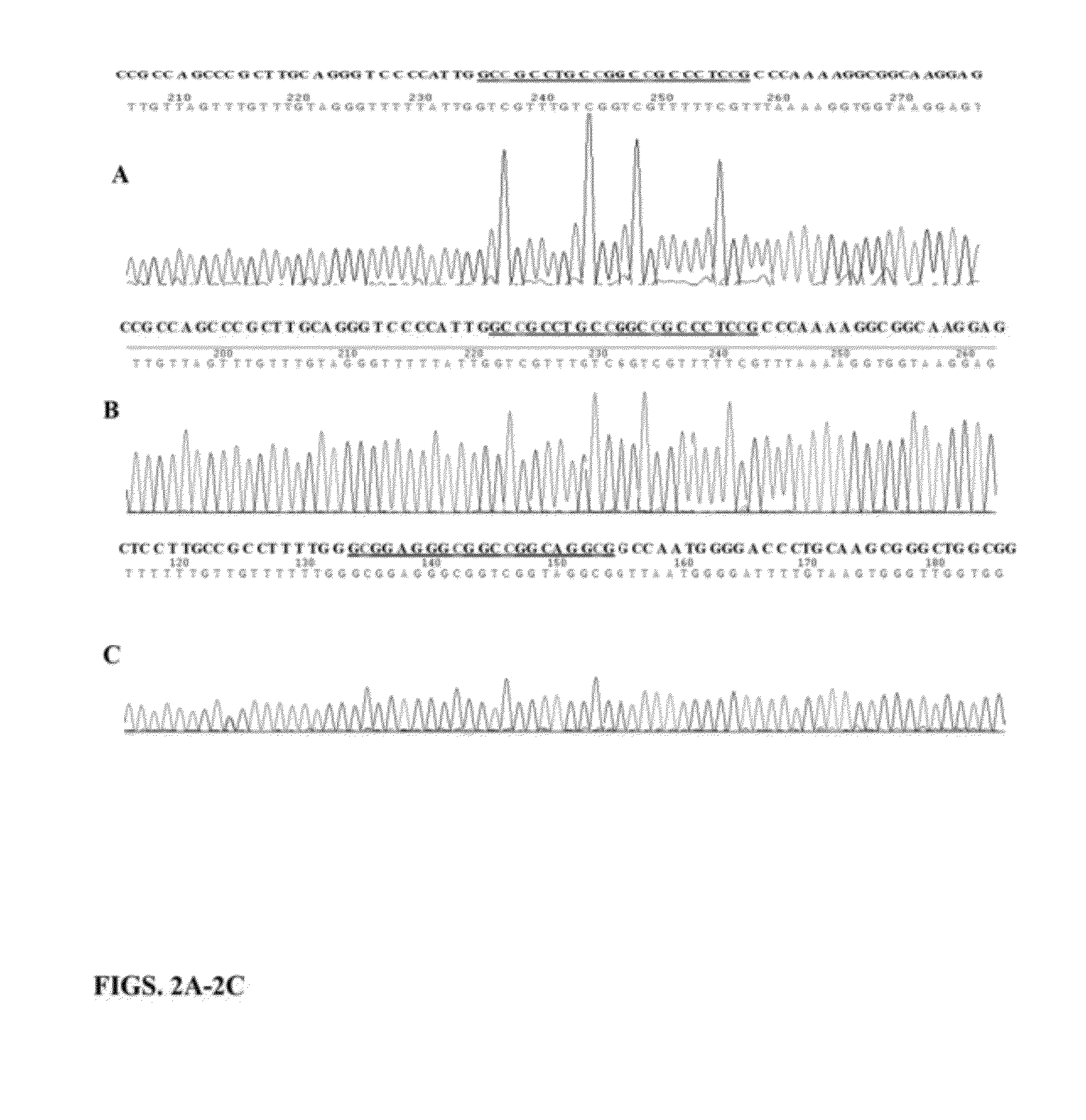 Method for functional testing of site-specific DNA methylation