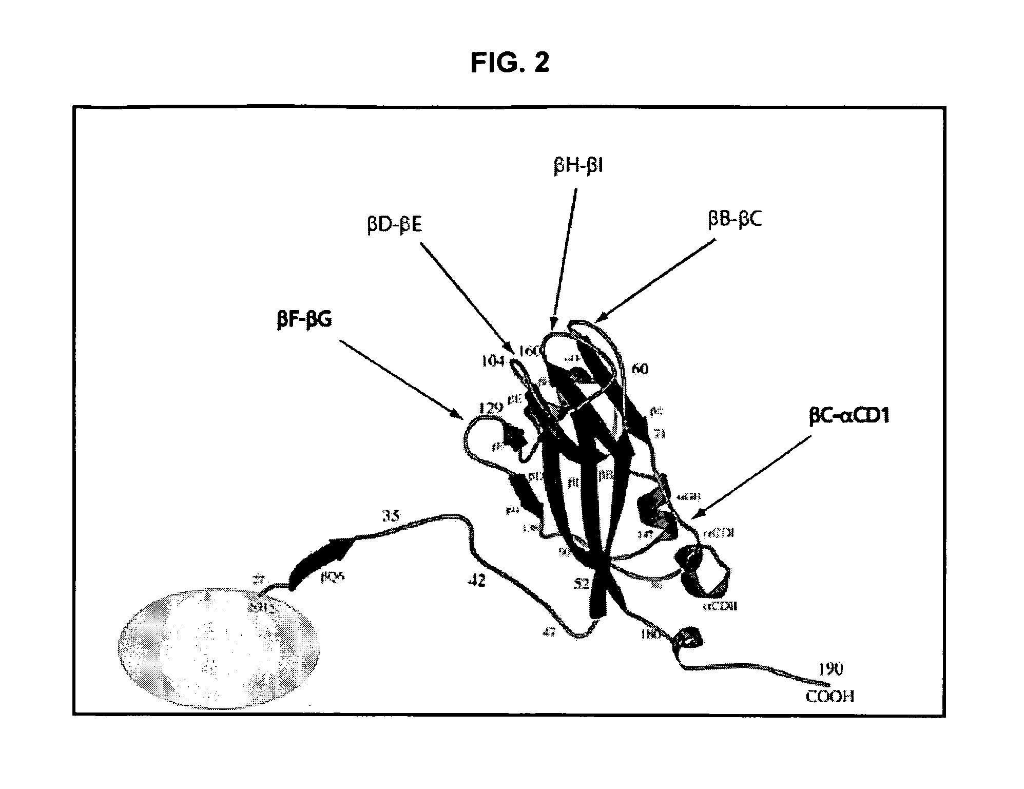 Modified plant virus particles and uses therefor