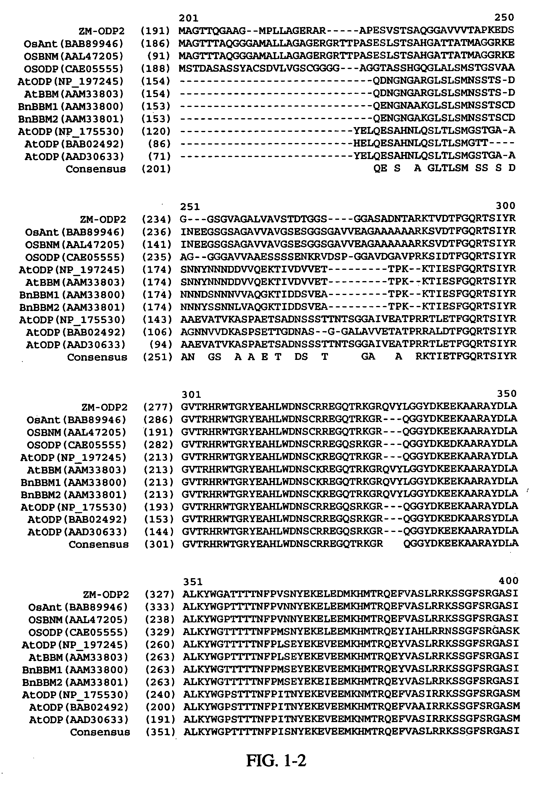AP2 domain transcription factor ODP2 (ovule development protein 2) and methods of use