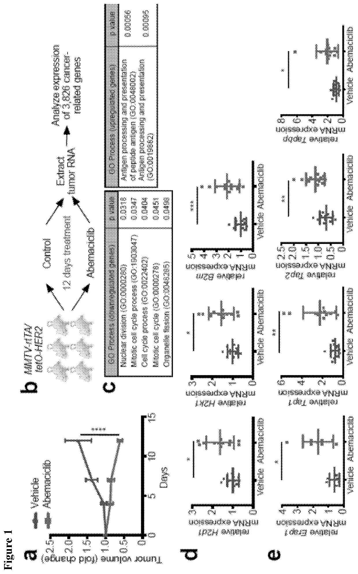 Methods for modulating regulatory t cells and immune responses using cdk4/6 inhibitors