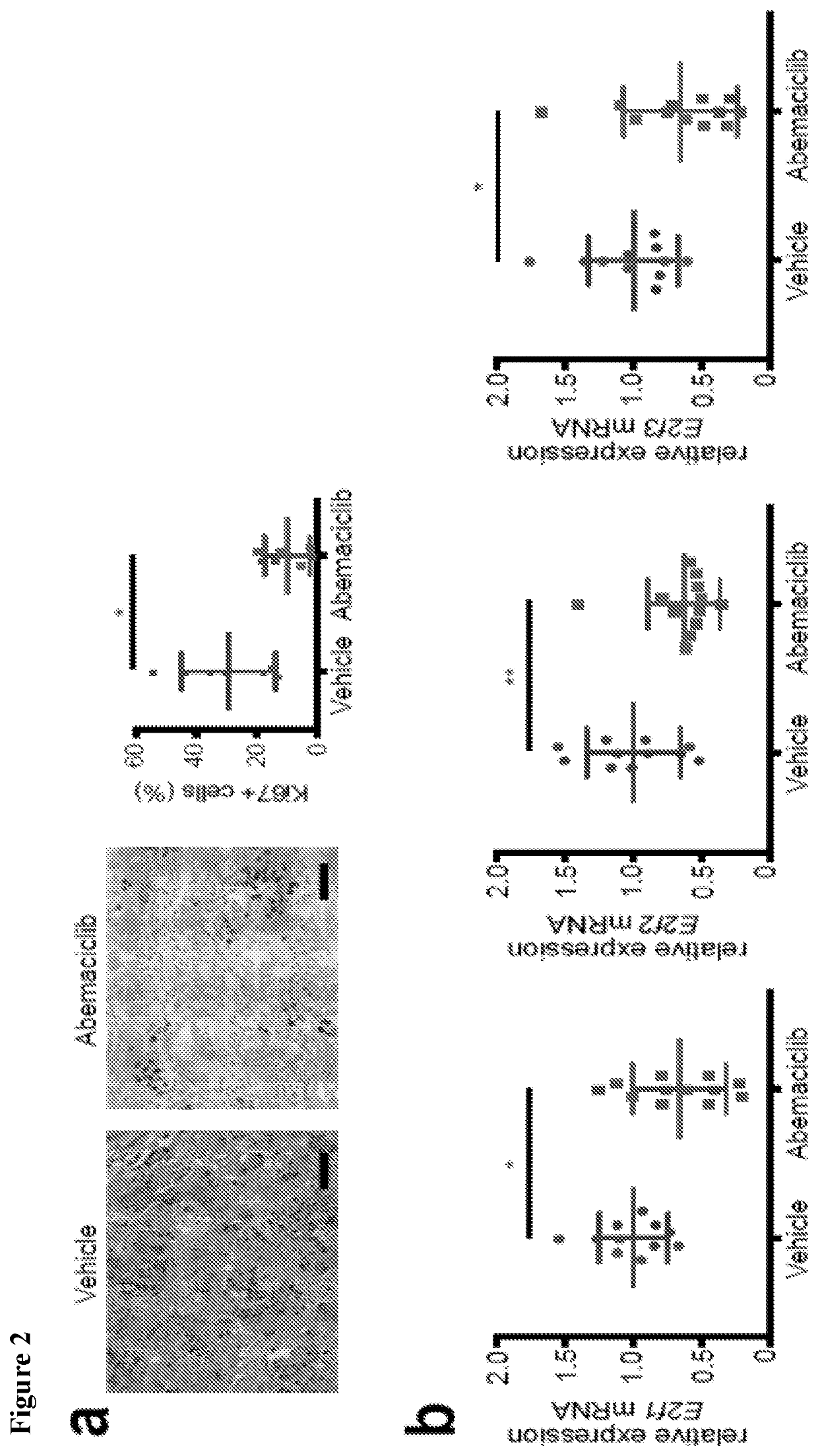 Methods for modulating regulatory t cells and immune responses using cdk4/6 inhibitors