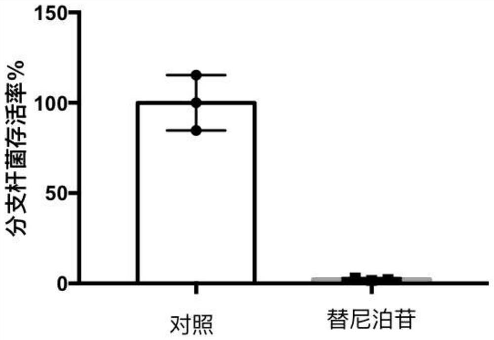 Application of teniposide in anti-mycobacterium tuberculosis drugs