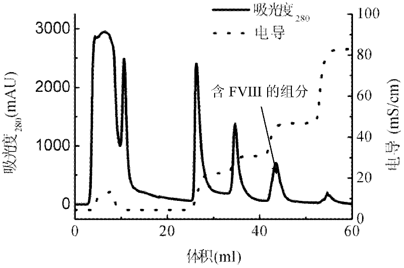 Method for separating and purifying blood coagulation factor VIII