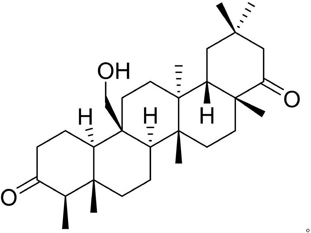 Pharmaceutical composition of famciclovir and pharmaceutical application of pharmaceutical composition