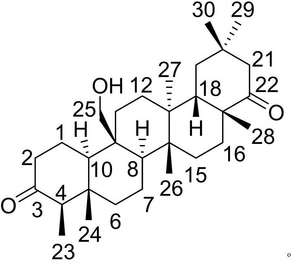 Pharmaceutical composition of famciclovir and pharmaceutical application of pharmaceutical composition