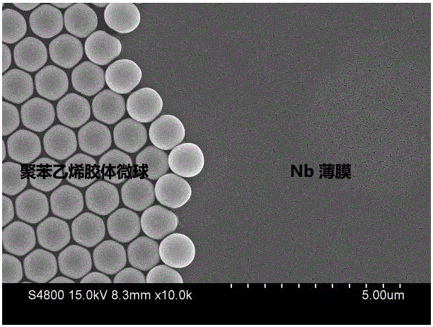 Polystyrene colloidal sphere and niobium film composite heterogeneous structure superconducting material and preparation method