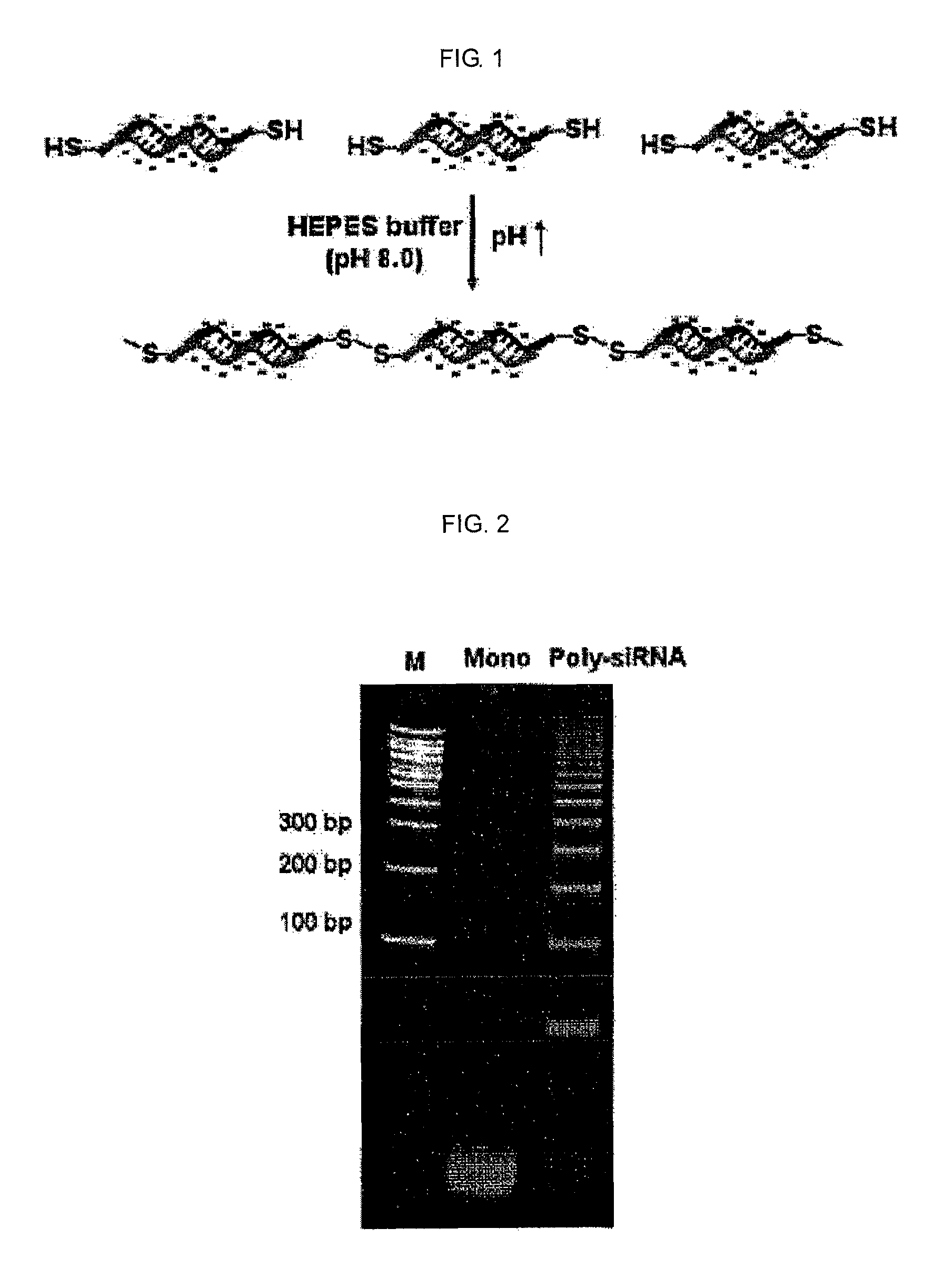 Method for polymerizing a small oligonucleotide, and use of a high-molecular oligonucleotide prepared by the polymerization method