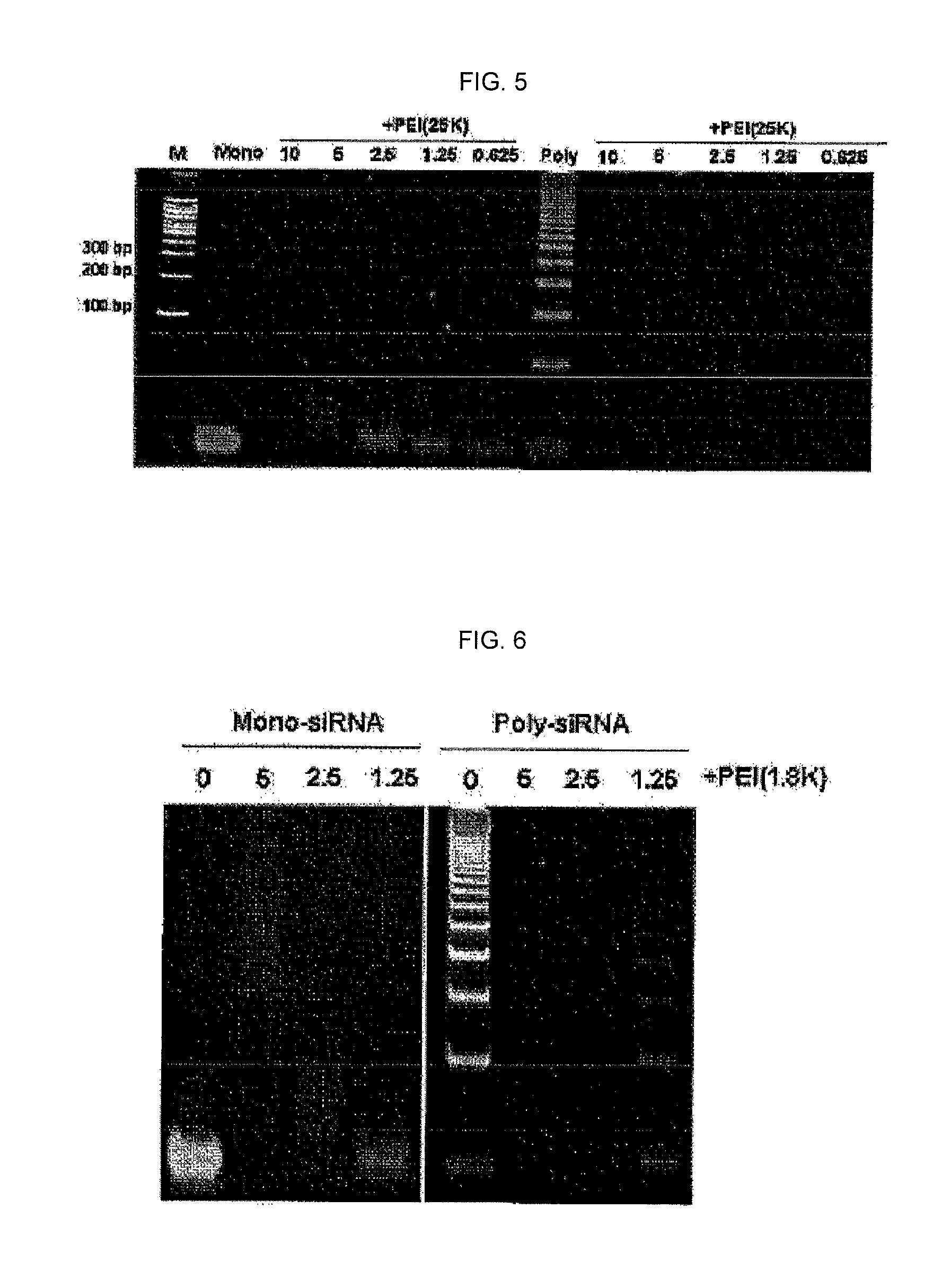 Method for polymerizing a small oligonucleotide, and use of a high-molecular oligonucleotide prepared by the polymerization method