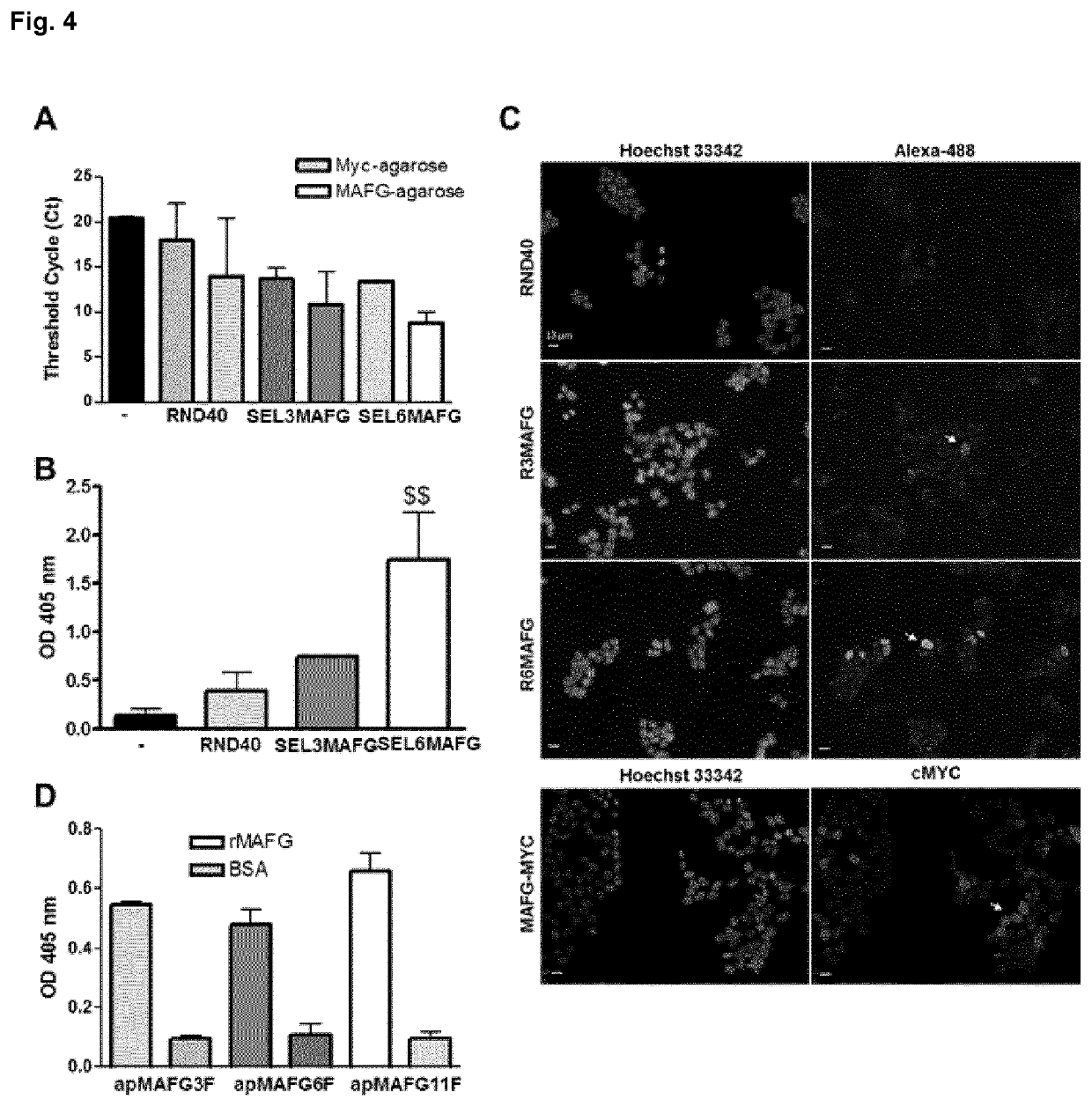 Mafg as a potential therapeutic target to restore chemosensitivity in platinum-resistant cancer cells
