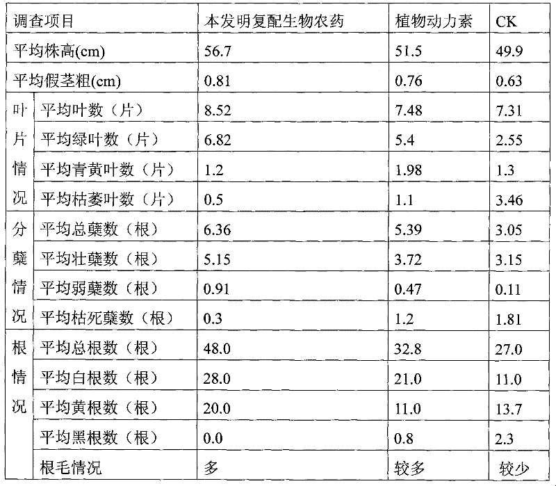 Composite full biological pesticide