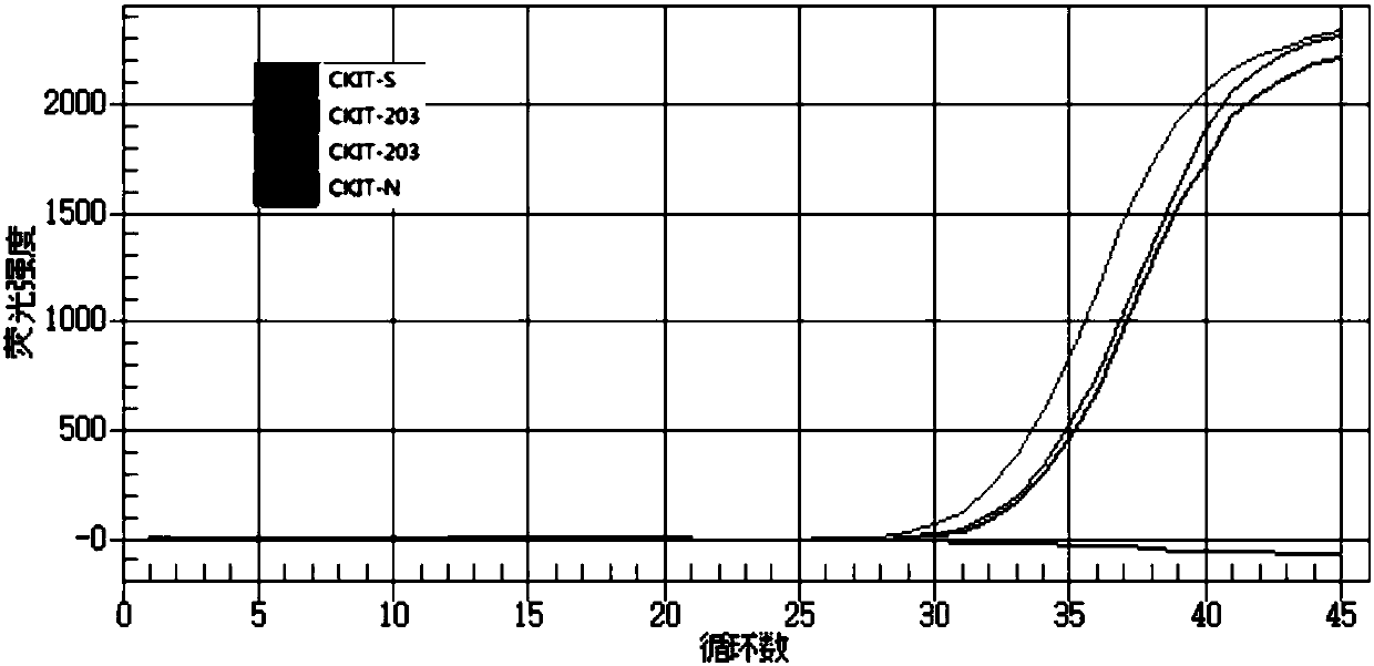 Primer group, kit and method for detecting expression level of imatinib related gene C-kit