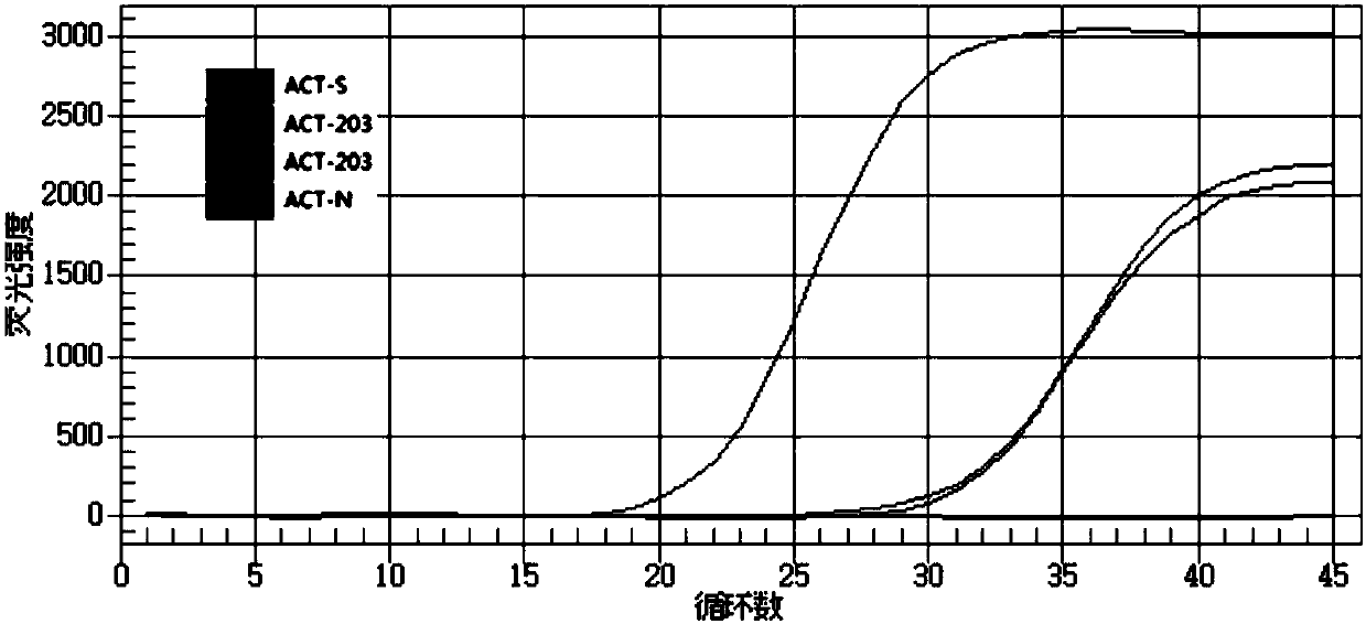 Primer group, kit and method for detecting expression level of imatinib related gene C-kit