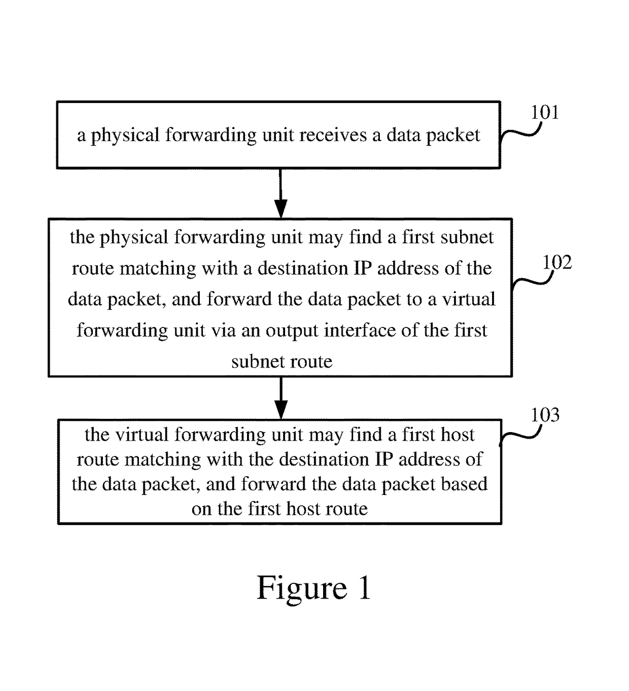 Packet forwarding using a physical unit and a virtual forwarding unit