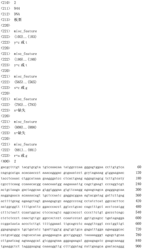 Molecular Breeding Method of Chestnut Varieties with Short Stamens