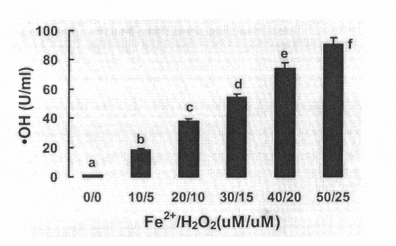 Method for building oxidative stress model of carp red blood cells