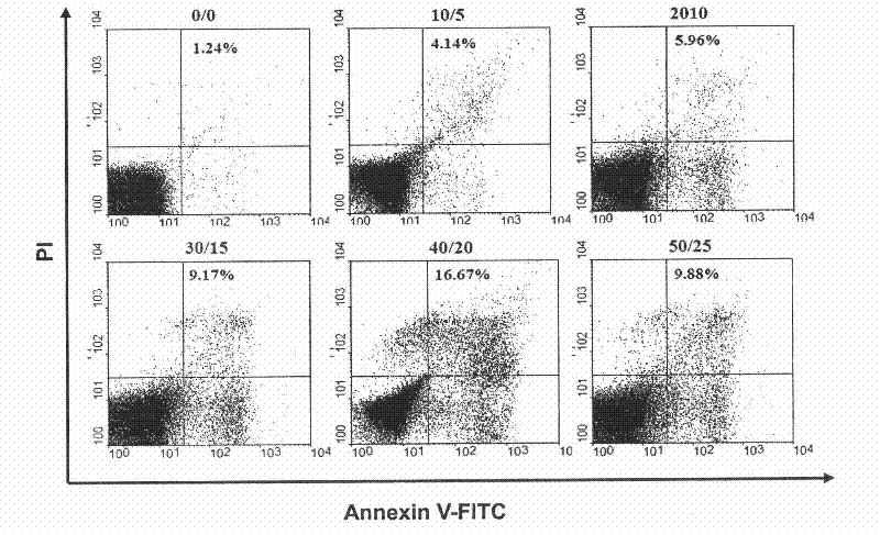 Method for building oxidative stress model of carp red blood cells