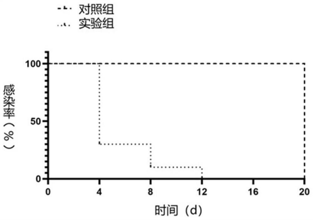 Hydrogel with continuous antibacterial ability