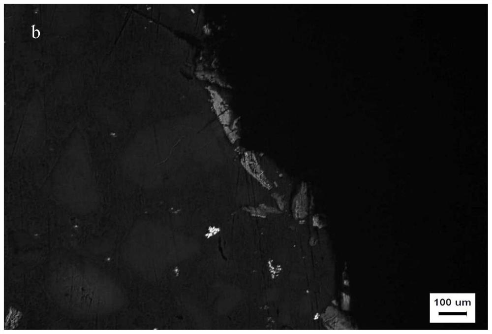 A kind of preparation method of manganese dioxide-conductive polypropylene composite anode plate