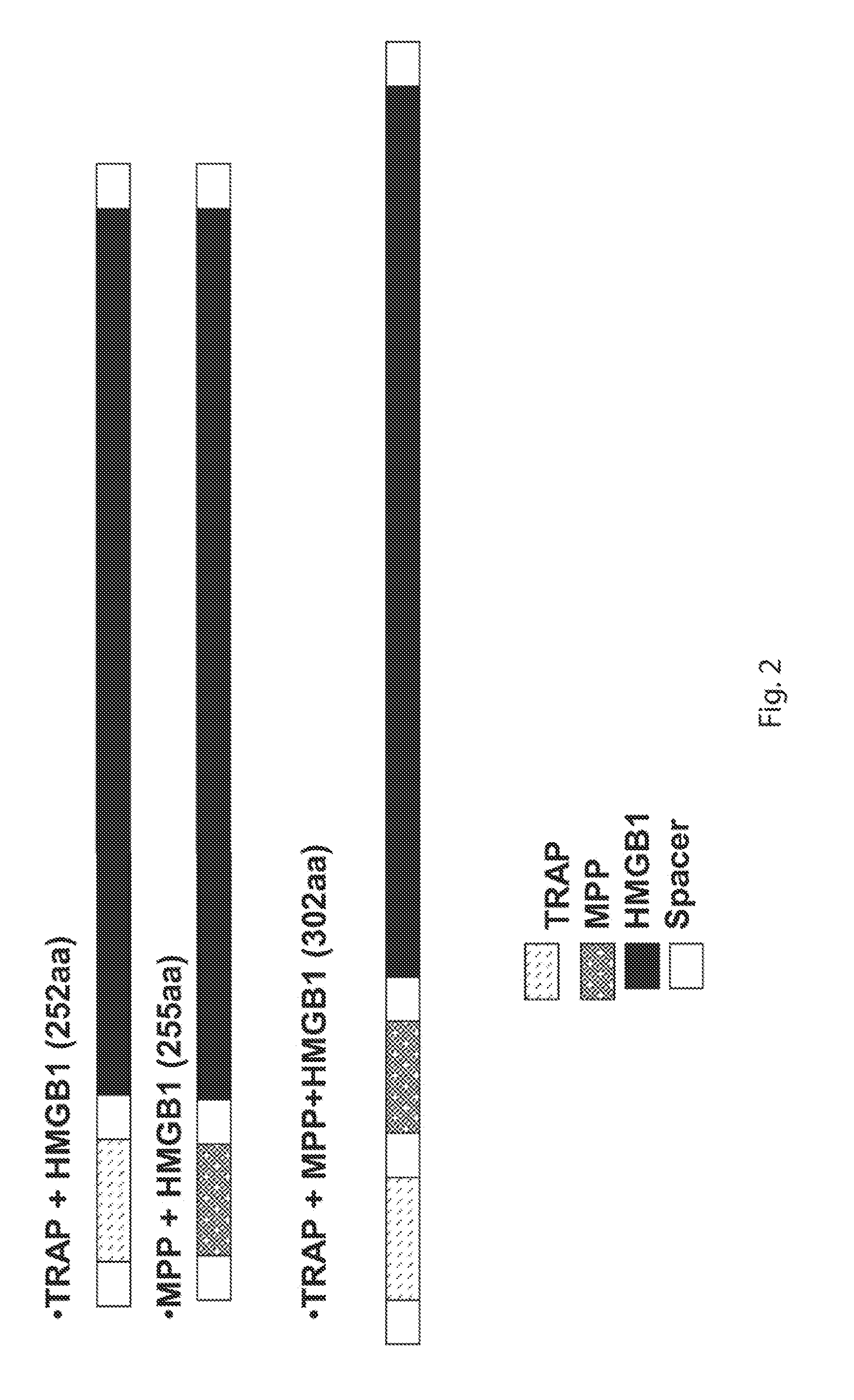 Compositions and methods of enhancing immune responses to eimeria or limiting eimeria infection
