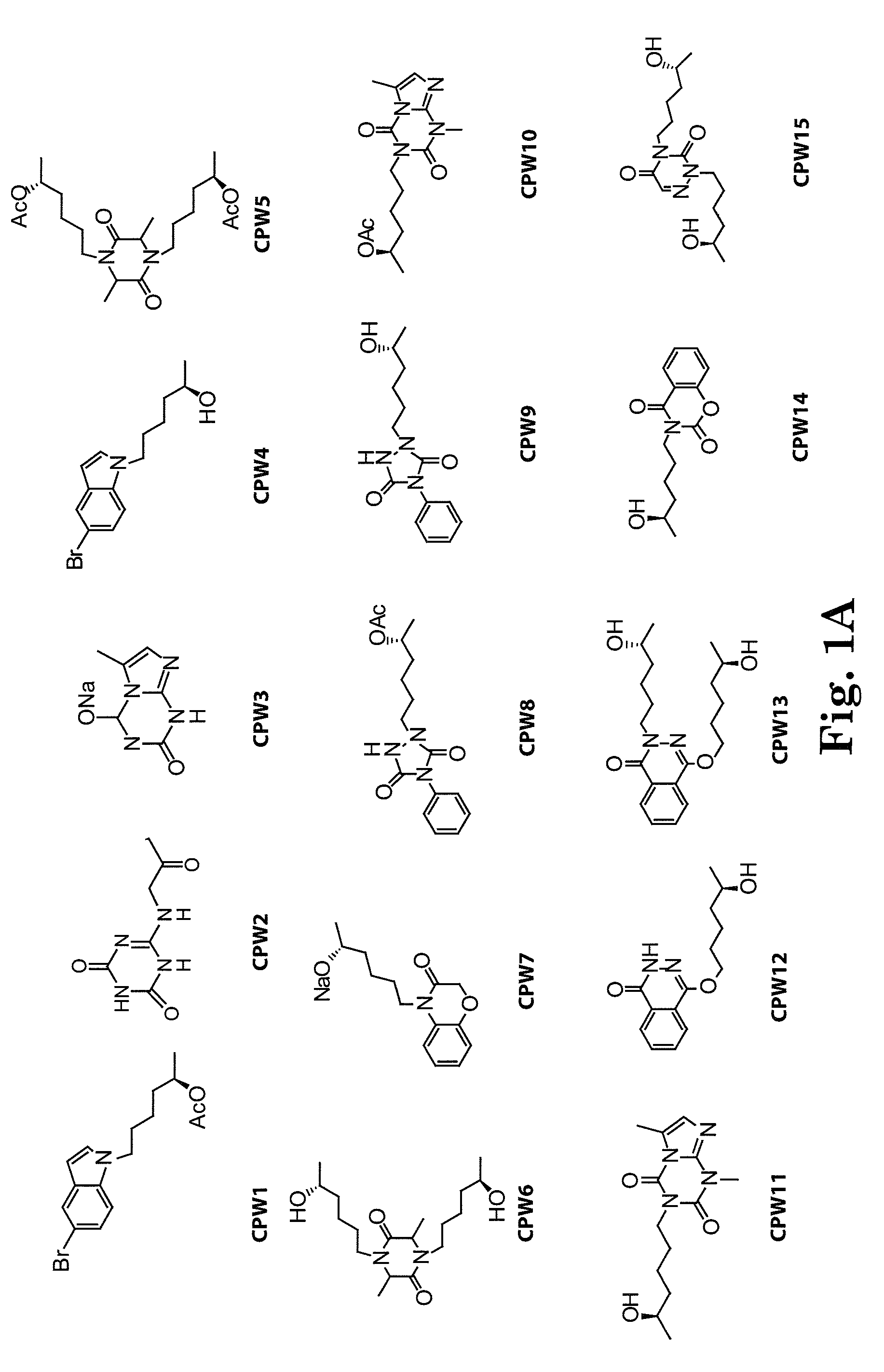 Lisofylline analogs and methods for use