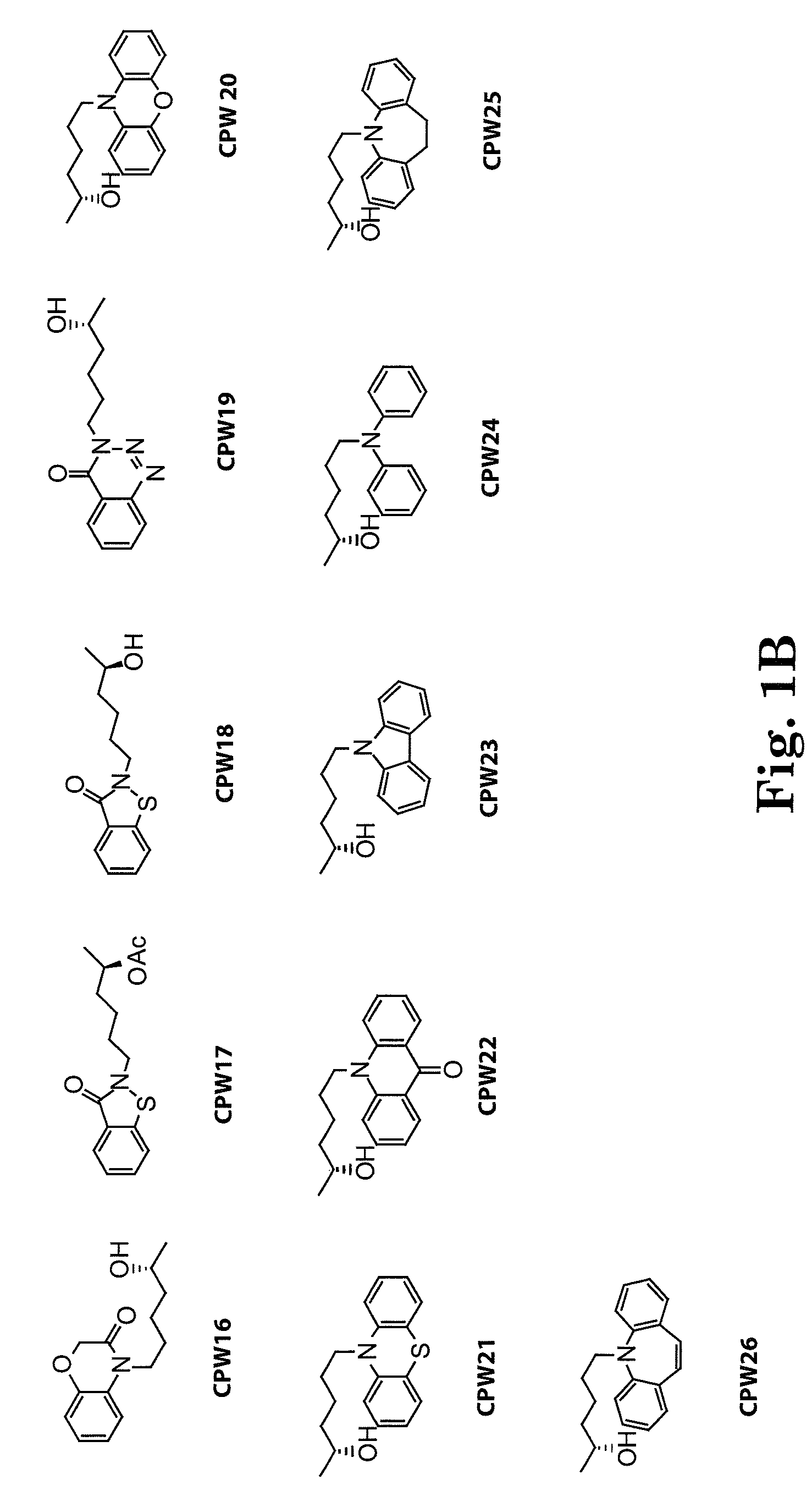 Lisofylline analogs and methods for use