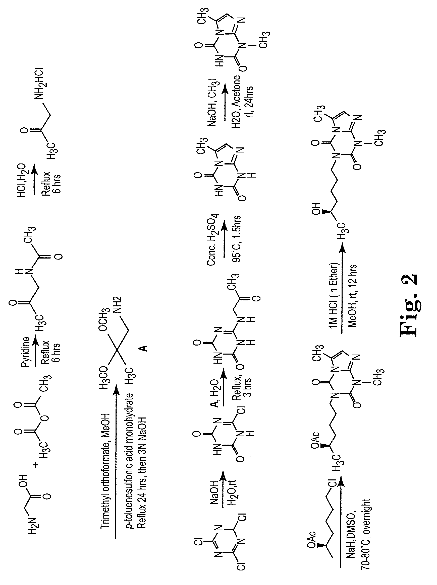 Lisofylline analogs and methods for use