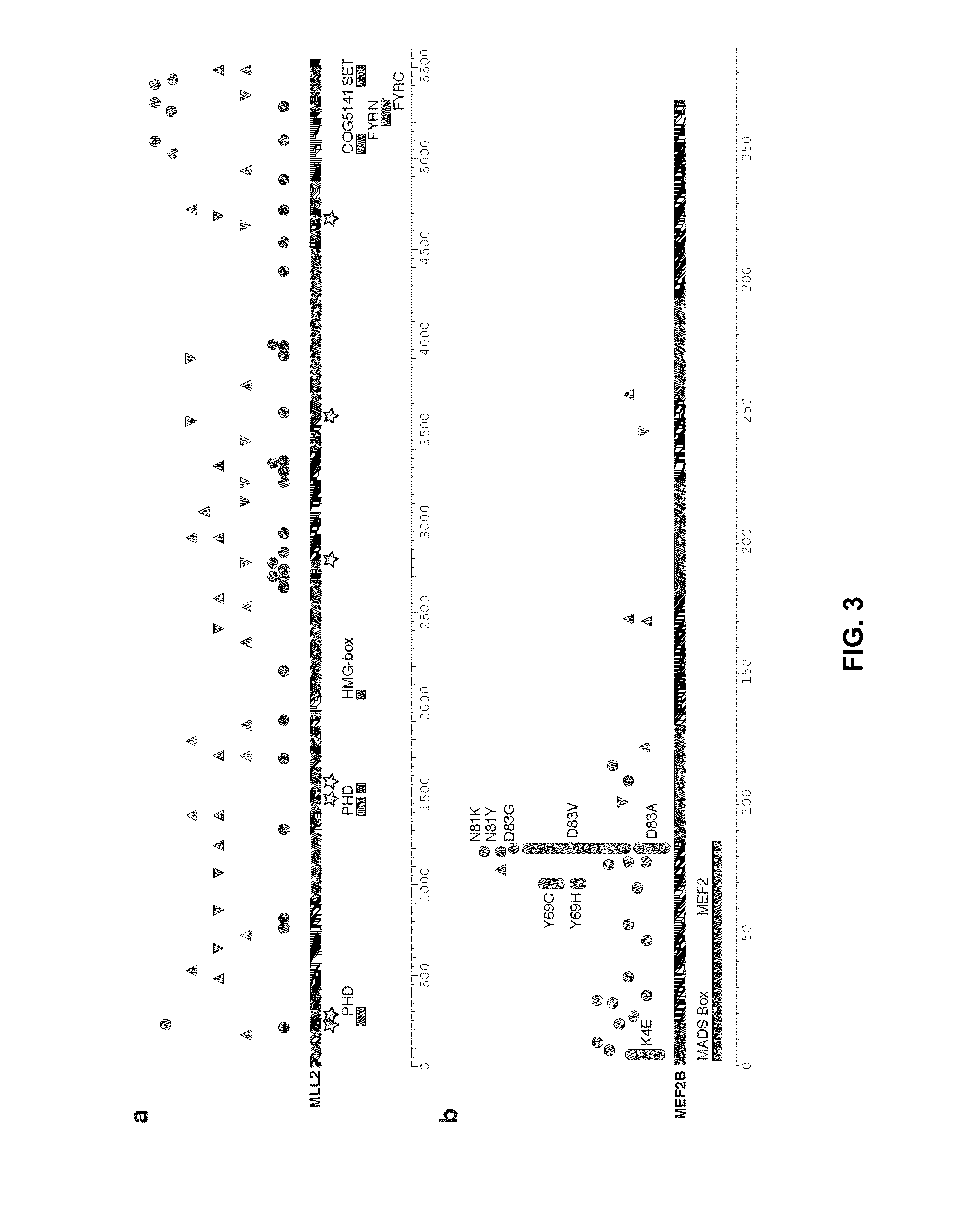 Biomarkers for Non-Hodgkin Lymphomas and Uses Thereof