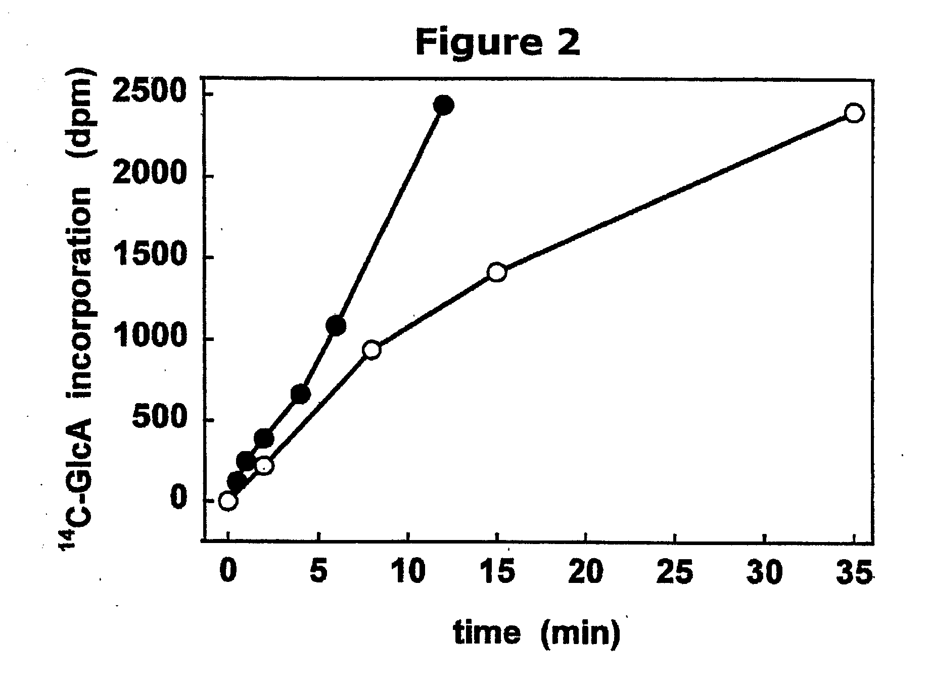 Natural, chimeric and hybrid glycosaminoglycan polymers and methods of making and using same